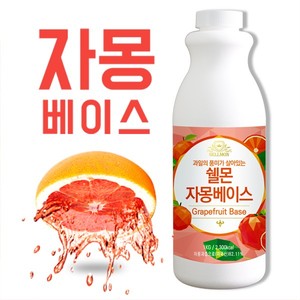 잇츠프라이스-몽 과일 농축액 베이스 1kg 시럽 원액 에이드